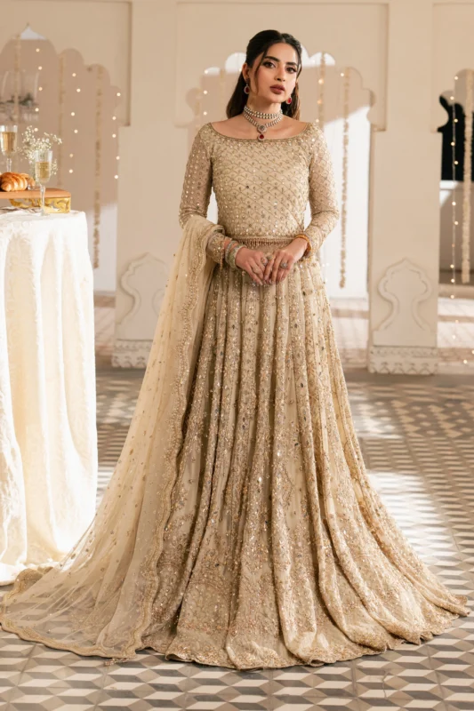 Zilverah beige net lehenga 3PC formal party wear – buy online Norway