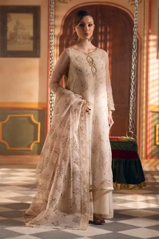 Zilverah beige organza embroidered party wear shirt — buy online Norway