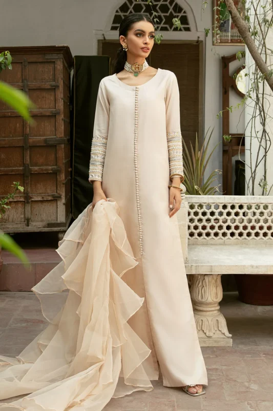 Zilverah Multicolor China Silk Organza Formal Wear 2-Piece Set — Pakistani Dress Norway