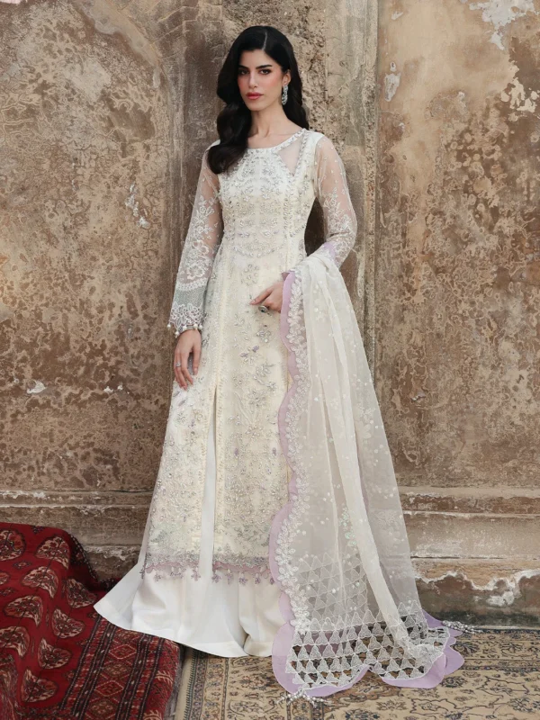 Zilverah multicolor organza sharara party wear set — buy Pakistani dress Norway with free delivery