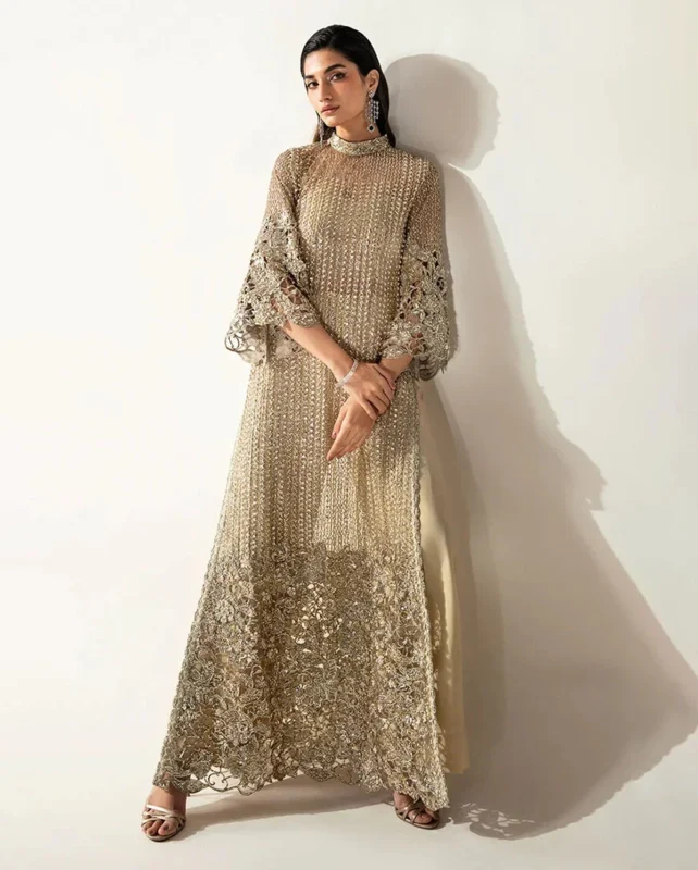 Zilverah Pale Gold Embellished Net Formal Wear Dress – Buy Online Norway
