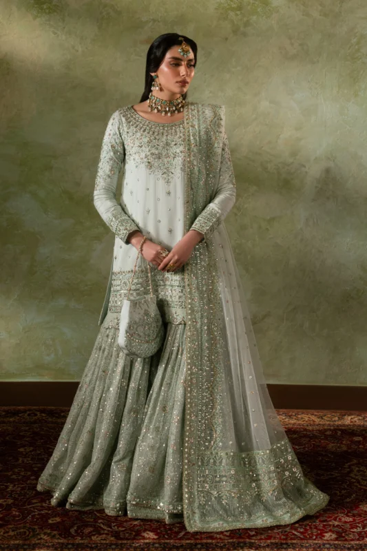 Zilverah Pale Pistachio Raw Silk Nikkah Party Wear Dress – Buy Online Norway