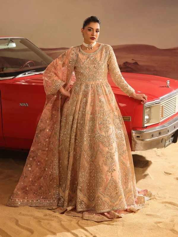 Zilverah peach embroidered organza 3-piece party wear suit — buy online Norway