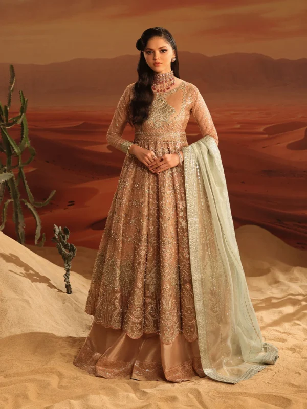 Zilverah Pink Organza Luxury Maxi Dress – Pakistani Party Wear Norway Featured Look