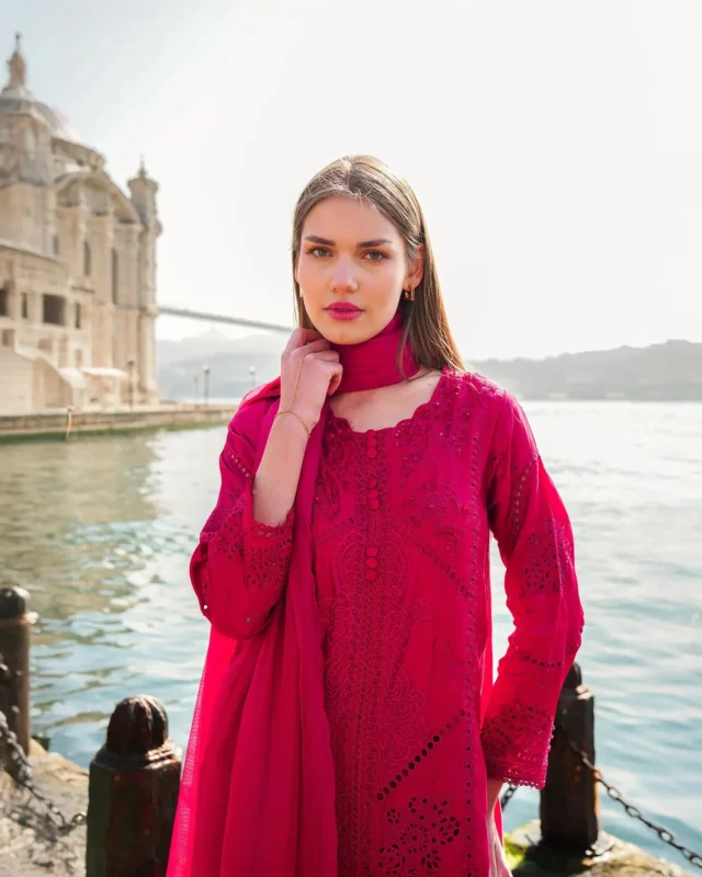 Zilverah silk embroidered formal wear gown 3PC — buy online Norway